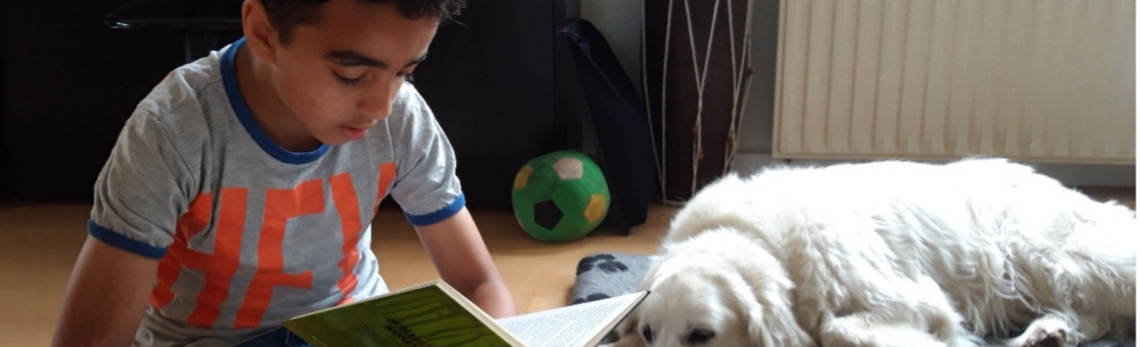 Banner afbeelding